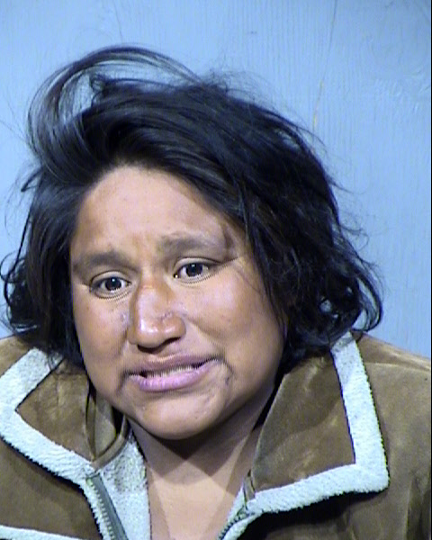 Jolene J Johnson Mugshot / Maricopa County Arrests / Maricopa County Arizona