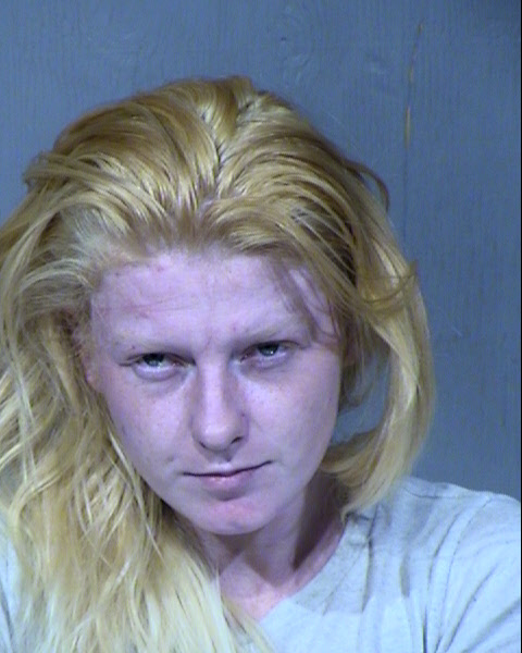 Lena Renee Carson Mugshot / Maricopa County Arrests / Maricopa County Arizona
