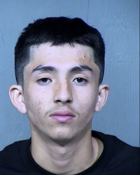 Jake Sterling Tree Mugshot / Maricopa County Arrests / Maricopa County Arizona