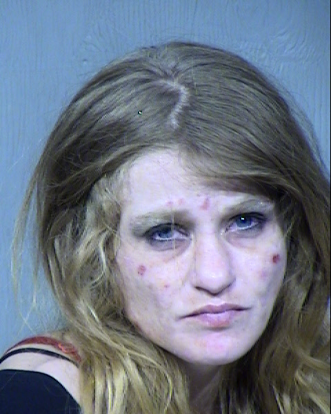 Cynthia Lynn Norwood Mugshot / Maricopa County Arrests / Maricopa County Arizona
