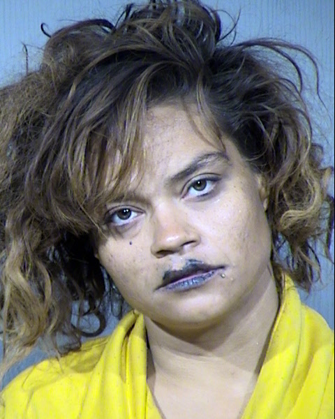Jennifer Delores Evans Mugshot / Maricopa County Arrests / Maricopa County Arizona