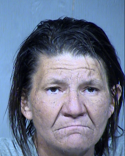 Nancy Lyn Combs Mugshot / Maricopa County Arrests / Maricopa County Arizona