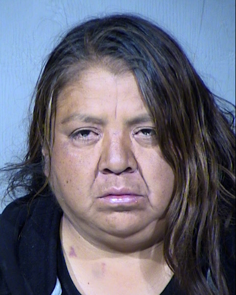 Sherry Jane Chee Mugshot / Maricopa County Arrests / Maricopa County Arizona