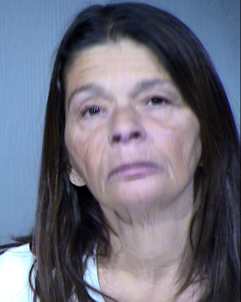 Terri Lynn Mills Mugshot / Maricopa County Arrests / Maricopa County Arizona