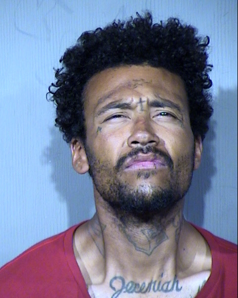 George A Drake Mugshot / Maricopa County Arrests / Maricopa County Arizona