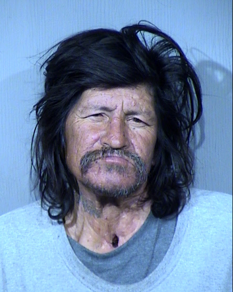 Robert E Lee Mugshot / Maricopa County Arrests / Maricopa County Arizona