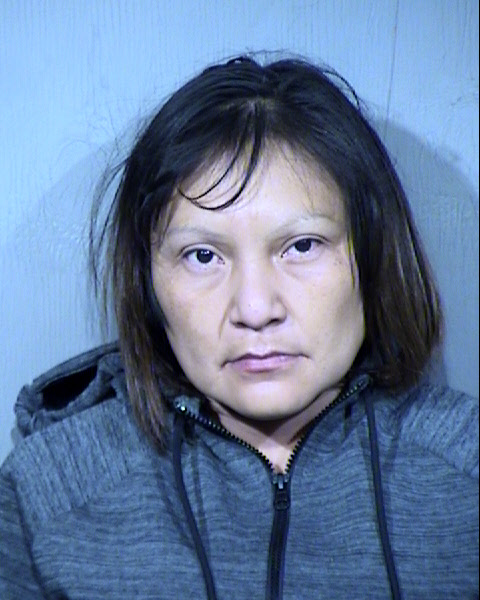 Danielle Lee Bedonie Mugshot / Maricopa County Arrests / Maricopa County Arizona