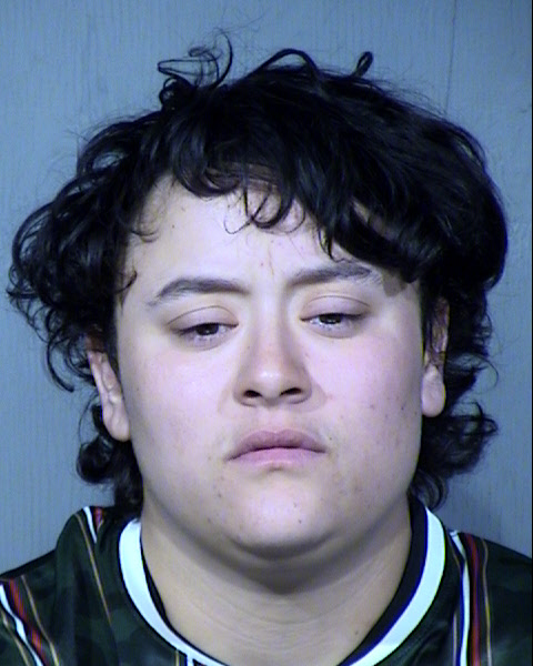 Natalie Jaqueline Mckamie Mugshot / Maricopa County Arrests / Maricopa County Arizona