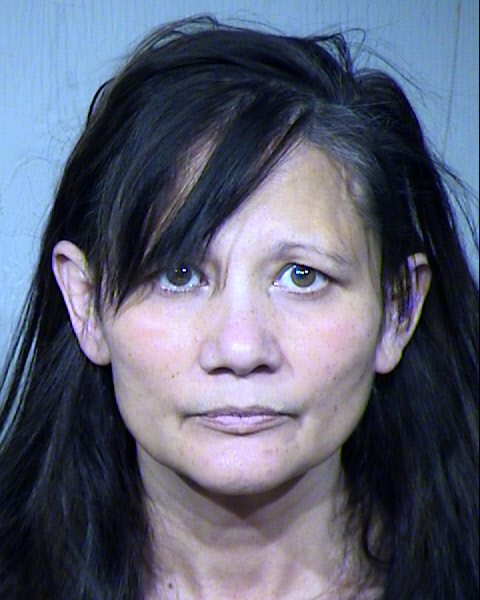 Karen Ann Zdunich Mugshot / Maricopa County Arrests / Maricopa County Arizona