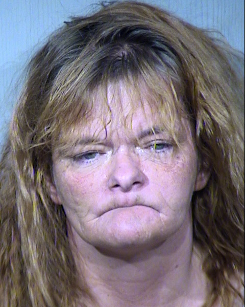 Sandra Lee Diaz Mugshot / Maricopa County Arrests / Maricopa County Arizona