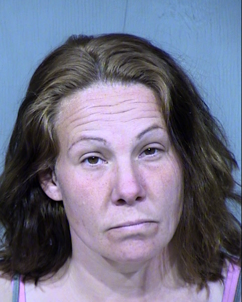 Shauna Renee Johnson Mugshot / Maricopa County Arrests / Maricopa County Arizona