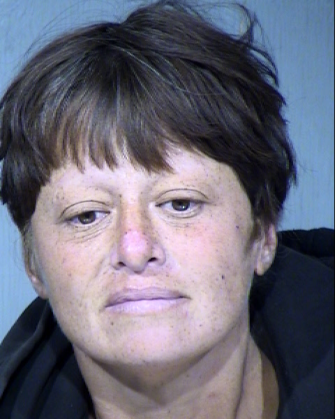 Lisa Ann Smith Mugshot / Maricopa County Arrests / Maricopa County Arizona