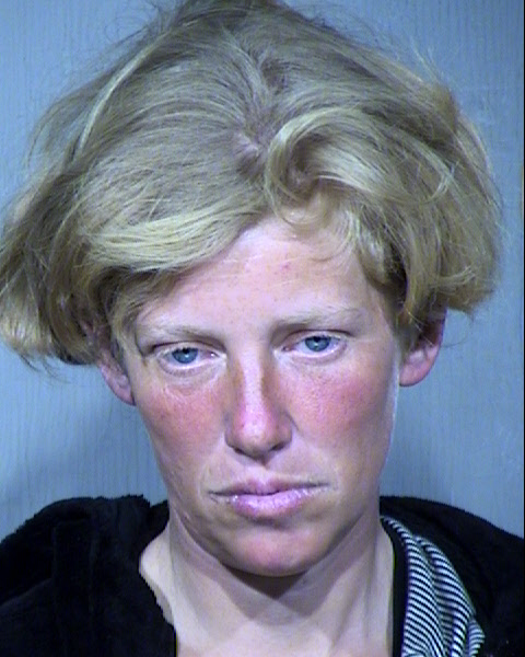 Patricia Raye Cook Mugshot / Maricopa County Arrests / Maricopa County Arizona