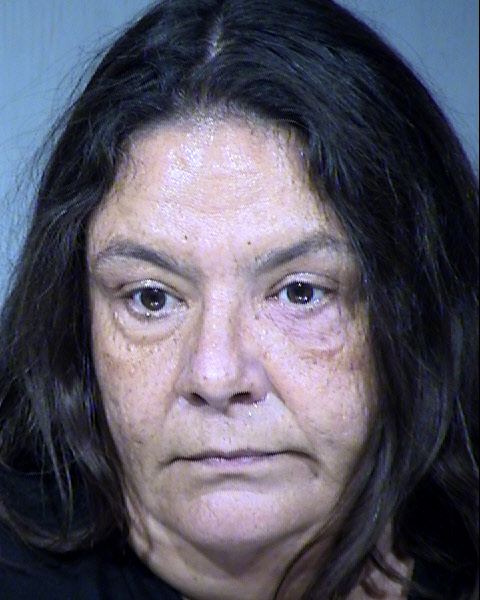 Sheri Jenkins Mugshot / Maricopa County Arrests / Maricopa County Arizona