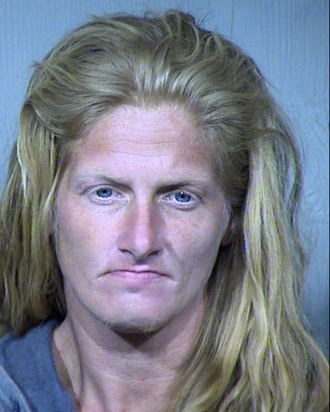Kristi Ann Anderlohr Mugshot / Maricopa County Arrests / Maricopa County Arizona