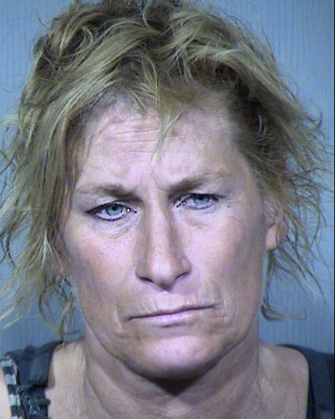 Sandra L Hillman Mugshot / Maricopa County Arrests / Maricopa County Arizona