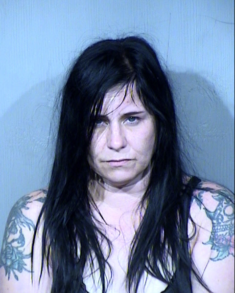 Khristine Anne Hollar Mugshot / Maricopa County Arrests / Maricopa County Arizona
