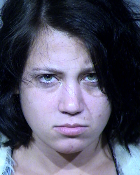 Lisa Marie Robinson Mugshot / Maricopa County Arrests / Maricopa County Arizona