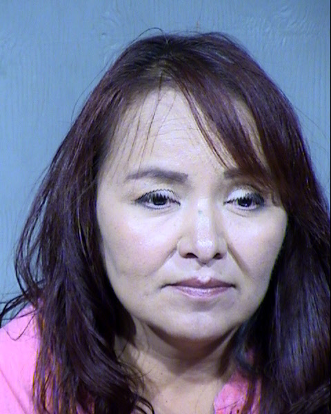 Pamela Kircher Mugshot / Maricopa County Arrests / Maricopa County Arizona