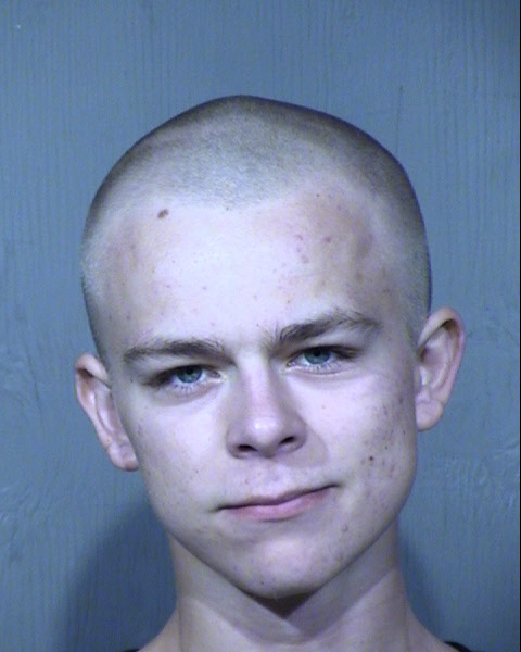 Matthew Tanner Davis Mugshot / Maricopa County Arrests / Maricopa County Arizona