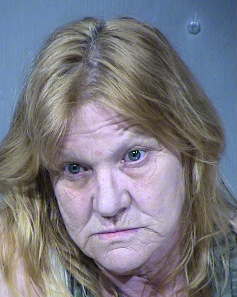 Gina Lynell Sears Mugshot / Maricopa County Arrests / Maricopa County Arizona