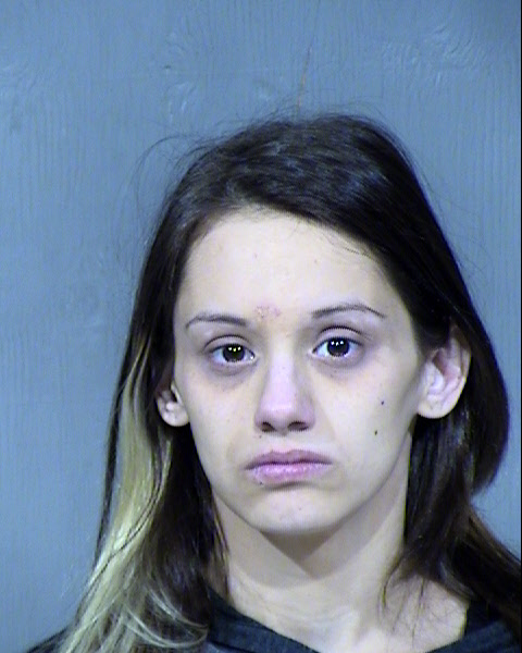 Elizabeth Palmer Mugshot / Maricopa County Arrests / Maricopa County Arizona