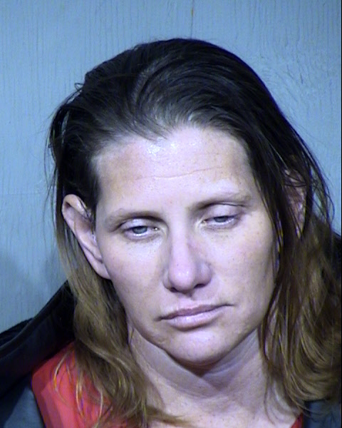 Laurie Michele Napp Mugshot / Maricopa County Arrests / Maricopa County Arizona