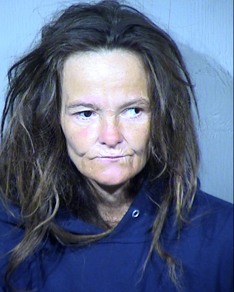 Julie Michelle Morris Mugshot / Maricopa County Arrests / Maricopa County Arizona