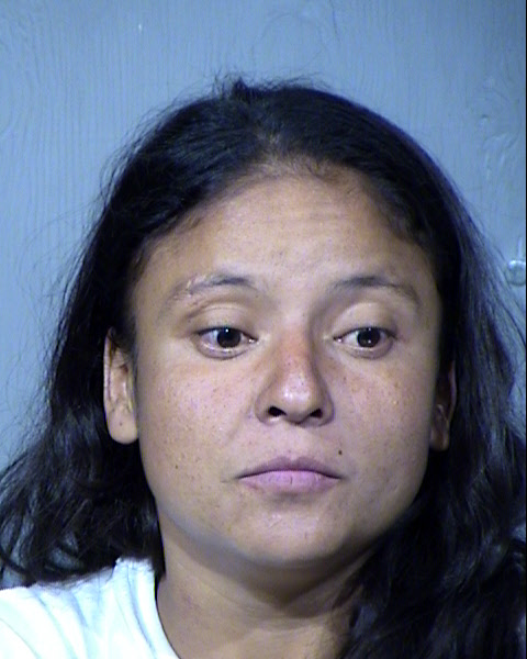 Lisa Ann Luna Mugshot / Maricopa County Arrests / Maricopa County Arizona