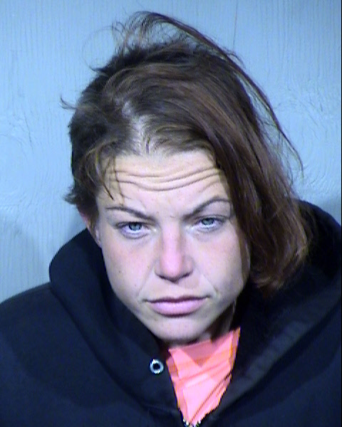 Sydney Elizabeth Logan Mugshot / Maricopa County Arrests / Maricopa County Arizona