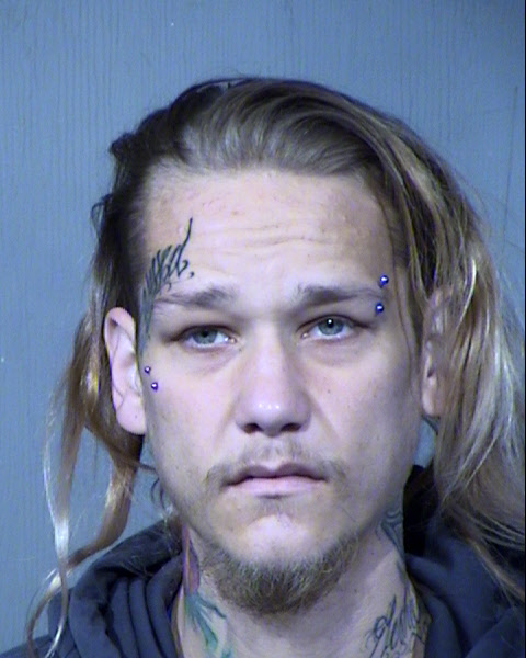 Brian John Ricedorf Mugshot / Maricopa County Arrests / Maricopa County Arizona