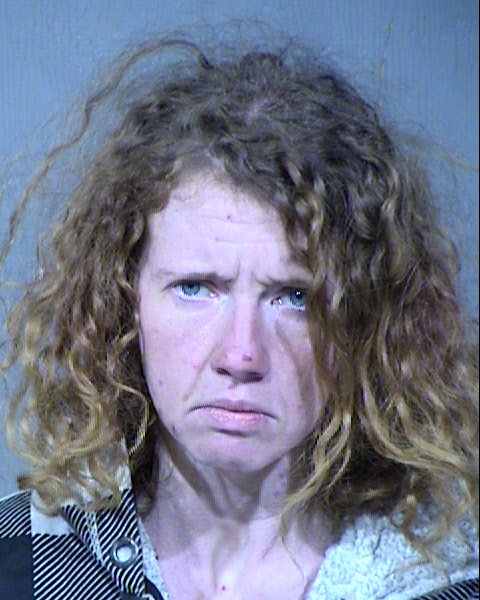 Michelle C Howard Mugshot / Maricopa County Arrests / Maricopa County Arizona