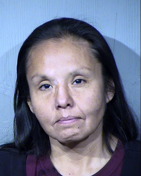 Shannon Kristy Hayes Mugshot / Maricopa County Arrests / Maricopa County Arizona