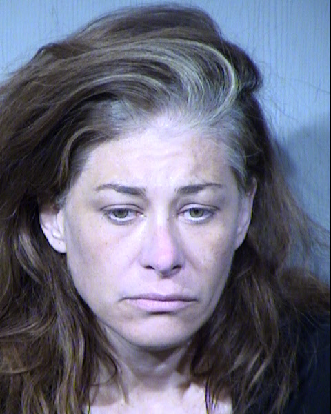 Trine Brink Albertsen Mugshot / Maricopa County Arrests / Maricopa County Arizona