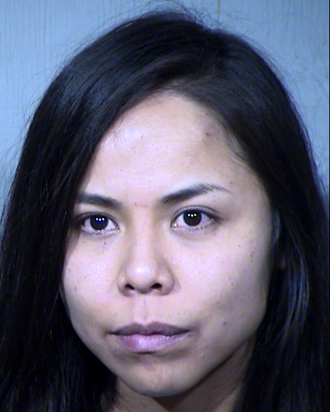 Nicolette Renee Fletcher Mugshot / Maricopa County Arrests / Maricopa County Arizona