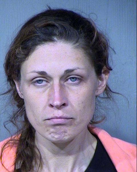 Zoya Elizabeth Skousen Mugshot / Maricopa County Arrests / Maricopa County Arizona