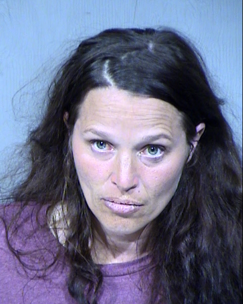 Dawn Marie Wells Mugshot / Maricopa County Arrests / Maricopa County Arizona