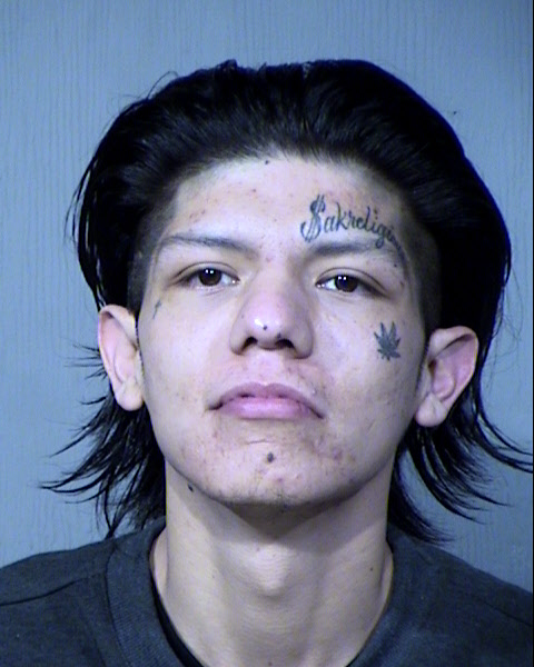 Samuel James Adams Mugshot / Maricopa County Arrests / Maricopa County Arizona