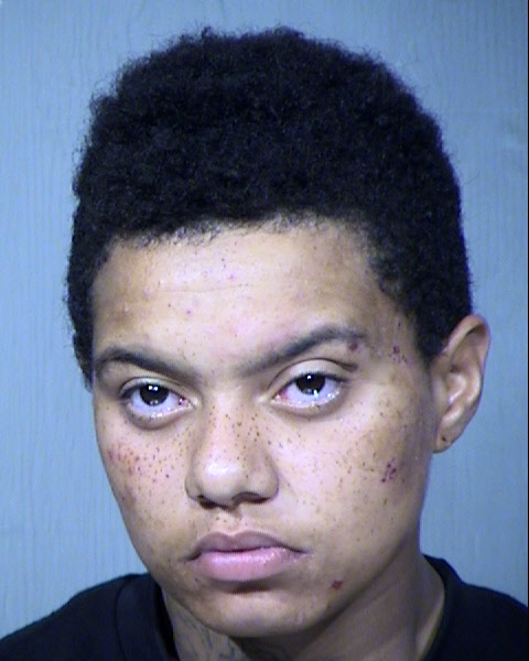Catelin Charmaine Klug Mugshot / Maricopa County Arrests / Maricopa County Arizona
