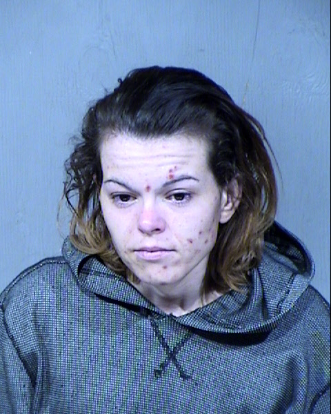 Sarah Elizabeth Dunn Mugshot / Maricopa County Arrests / Maricopa County Arizona