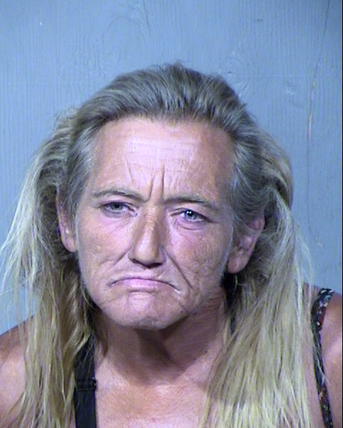 Patricia Anne Earls Mugshot / Maricopa County Arrests / Maricopa County Arizona