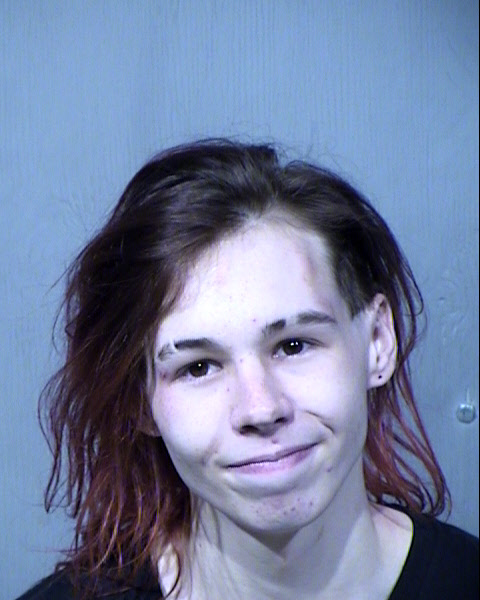 Ashton Zachory Bredemann Mugshot / Maricopa County Arrests / Maricopa County Arizona