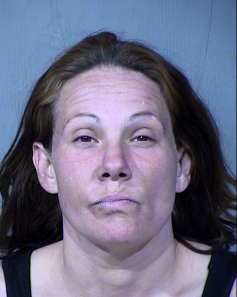 Shauna Renee Johnson Mugshot / Maricopa County Arrests / Maricopa County Arizona