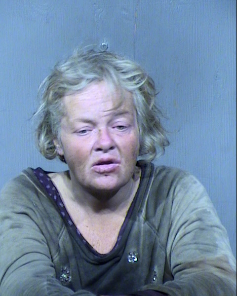 Teresa A Collins Mugshot / Maricopa County Arrests / Maricopa County Arizona