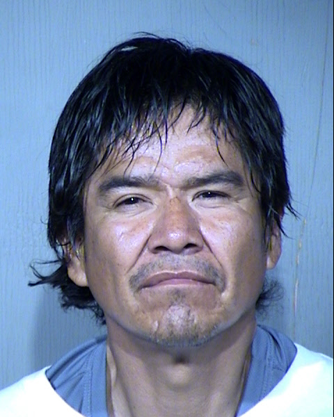 Roy Cowboy Mugshot / Maricopa County Arrests / Maricopa County Arizona