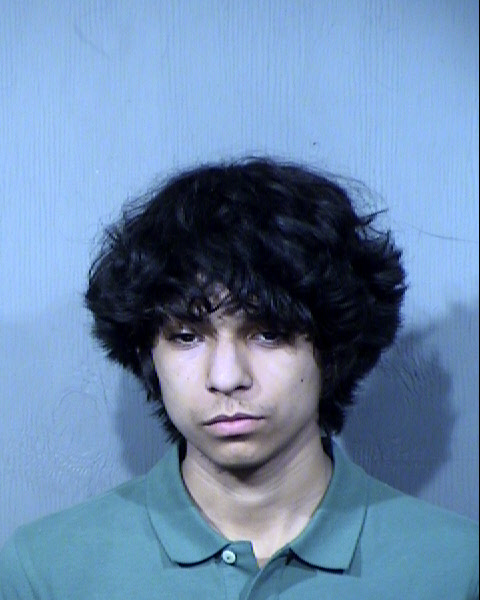 Patrick Charles Sellner Mugshot / Maricopa County Arrests / Maricopa County Arizona