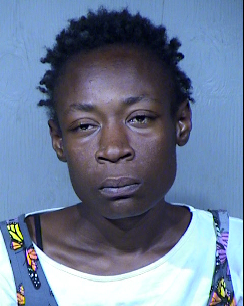Michelle Renee Rice Mugshot / Maricopa County Arrests / Maricopa County Arizona