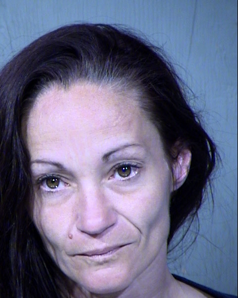 Desiree Lee Mclaughlin Mugshot / Maricopa County Arrests / Maricopa County Arizona