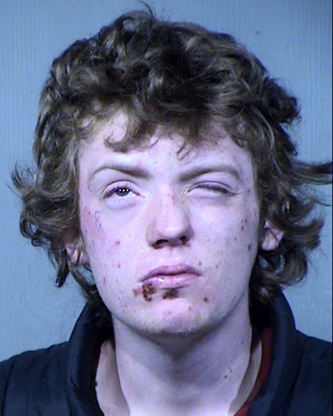 Roger James Anthon Parkison Mugshot / Maricopa County Arrests / Maricopa County Arizona