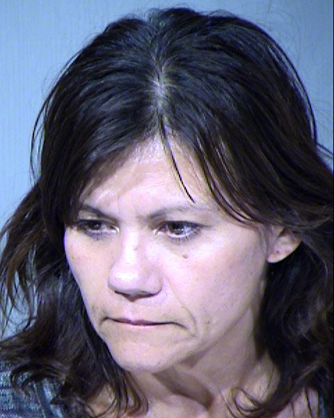 Ann Hammer Mugshot / Maricopa County Arrests / Maricopa County Arizona